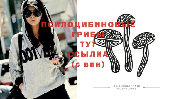 MDMA Инсар
