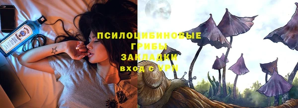 таблы Инта